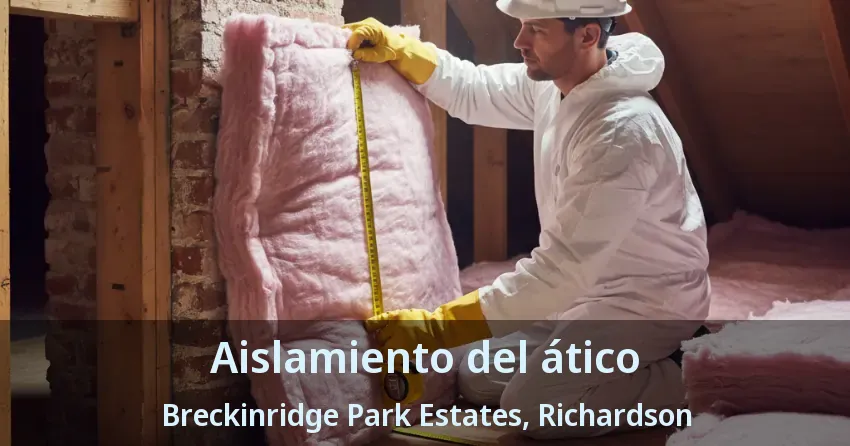 Aislamiento del ático Breckinridge Park Estates, Richardson - TX
