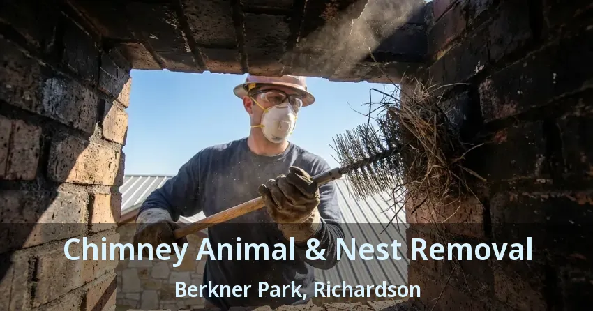 Chimney Animal & Nest Removal Berkner Park, Richardson - TX