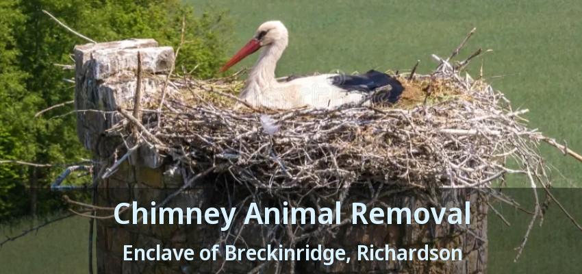 Chimney Animal Removal Enclave of Breckinridge, Richardson - TX