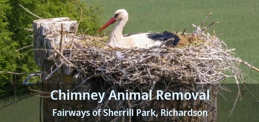 Chimney Animal Removal Fairways of Sherrill Park, Richardson - TX