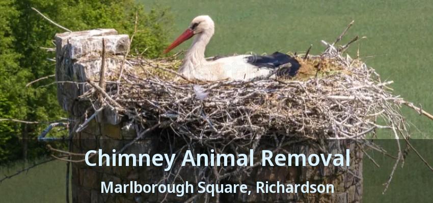 Chimney Animal Removal Marlborough Square, Richardson - TX