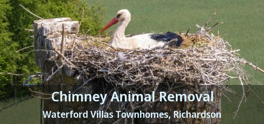Chimney Animal Removal Waterford Villas Townhomes, Richardson - TX