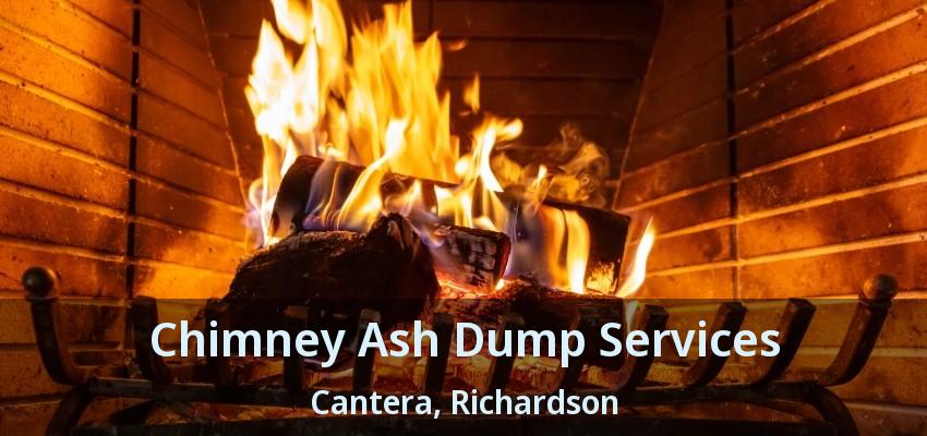 Chimney Ash Dump Services Cantera, Richardson - TX