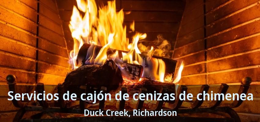 Servicios de cajón de cenizas de chimenea Duck Creek, Richardson - TX