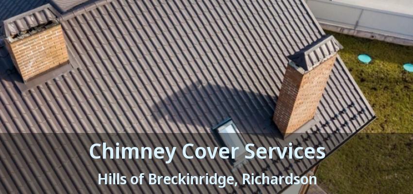 Chimney Cover Services Hills of Breckinridge, Richardson - TX