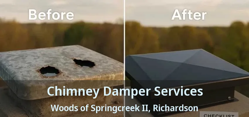 Chimney Damper Services Woods of Springcreek II, Richardson - TX