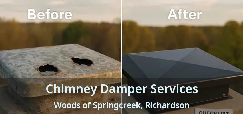 Chimney Damper Services Woods of Springcreek, Richardson - TX