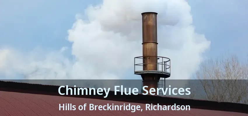Chimney Flue Services Hills of Breckinridge, Richardson - TX