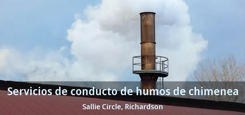 Servicios de conducto de humos de chimenea Sallie Circle, Richardson - TX