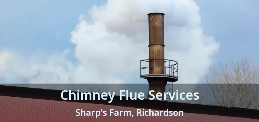 Chimney Flue Services Sharp's Farm, Richardson - TX