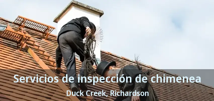 Servicios de inspección de chimenea Duck Creek, Richardson - TX