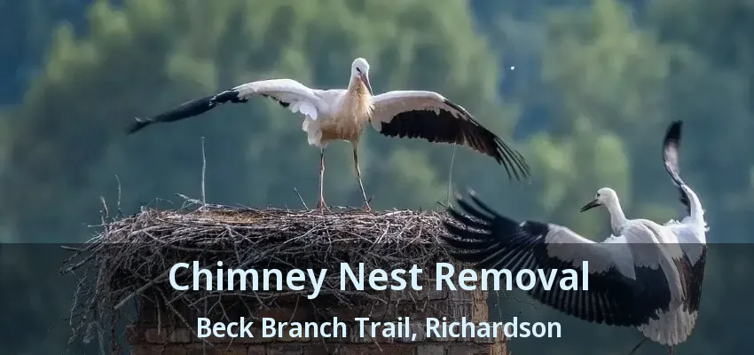 Chimney Nest Removal Beck Branch Trail, Richardson - TX