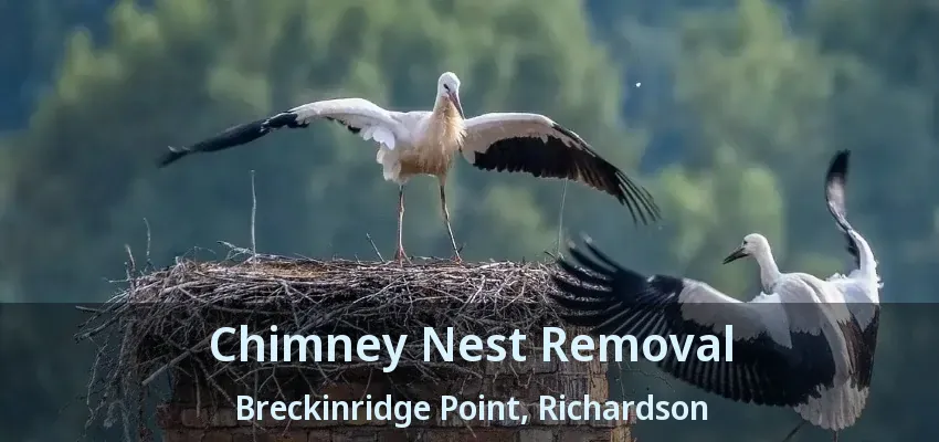 Chimney Nest Removal Breckinridge Point, Richardson - TX
