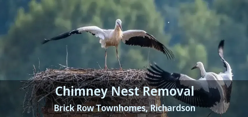 Chimney Nest Removal Brick Row Townhomes, Richardson - TX