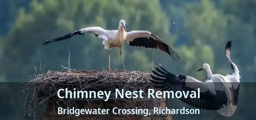Chimney Nest Removal Bridgewater Crossing, Richardson - TX