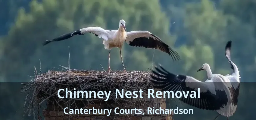 Chimney Nest Removal Canterbury Courts, Richardson - TX