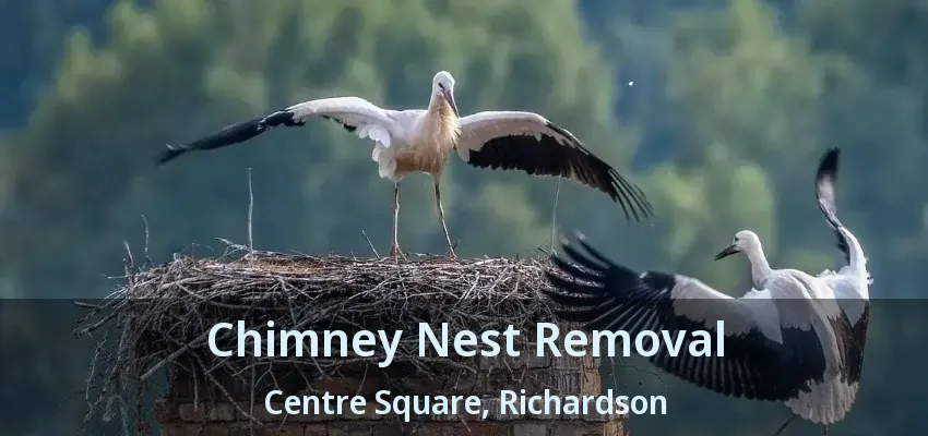 Chimney Nest Removal Centre Square, Richardson - TX