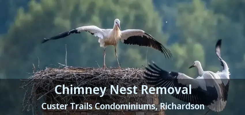 Chimney Nest Removal Custer Trails Condominiums, Richardson - TX