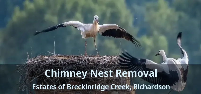 Chimney Nest Removal Estates of Breckinridge Creek, Richardson - TX