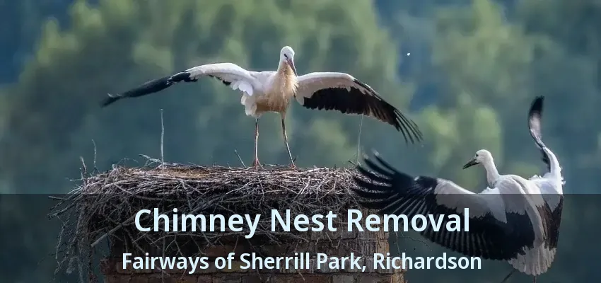 Chimney Nest Removal Fairways of Sherrill Park, Richardson - TX