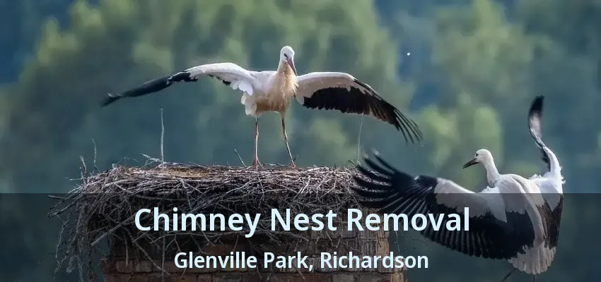 Chimney Nest Removal Glenville Park, Richardson - TX
