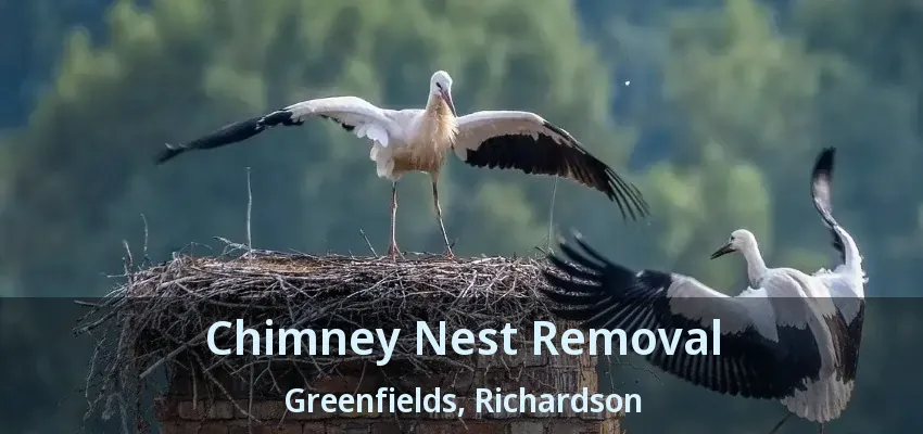 Chimney Nest Removal Greenfields, Richardson - TX
