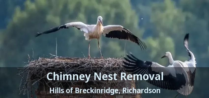 Chimney Nest Removal Hills of Breckinridge, Richardson - TX
