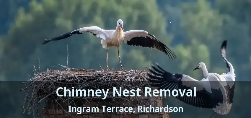 Chimney Nest Removal Ingram Terrace, Richardson - TX
