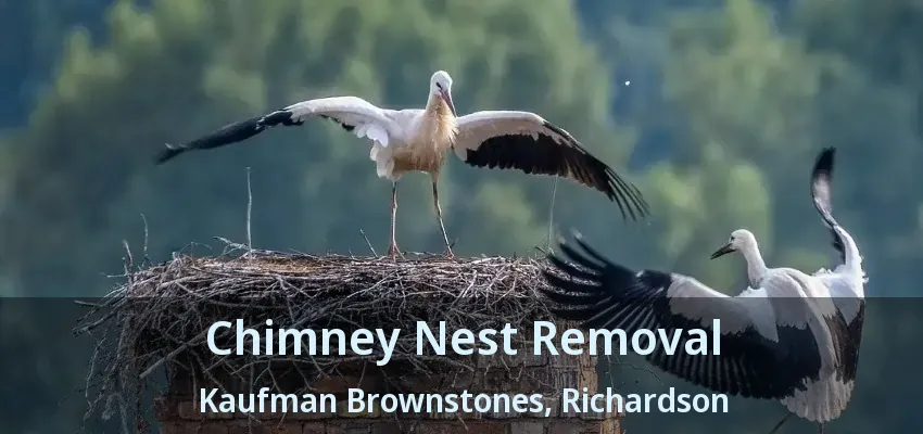 Chimney Nest Removal Kaufman Brownstones, Richardson - TX