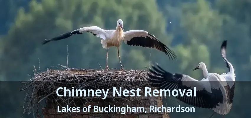 Chimney Nest Removal Lakes of Buckingham, Richardson - TX