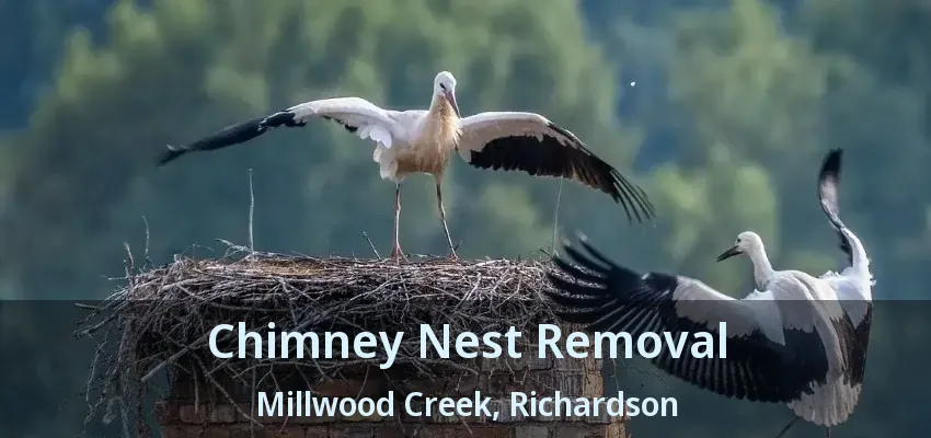 Chimney Nest Removal Millwood Creek, Richardson - TX