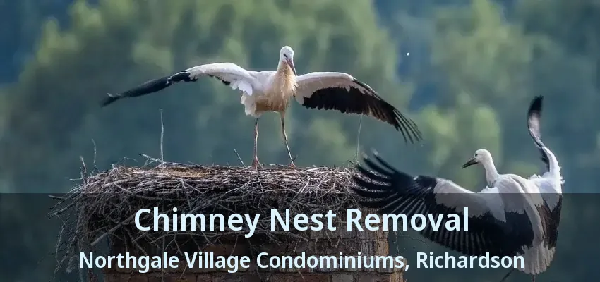 Chimney Nest Removal Northgale Village Condominiums, Richardson - TX
