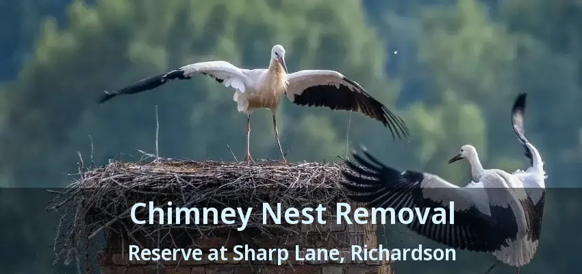 Chimney Nest Removal Reserve at Sharp Lane, Richardson - TX