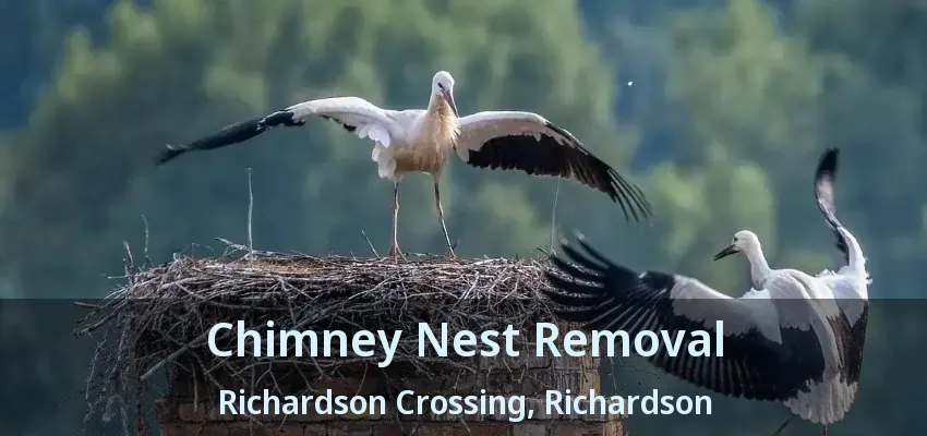 Chimney Nest Removal Richardson Crossing, Richardson - TX