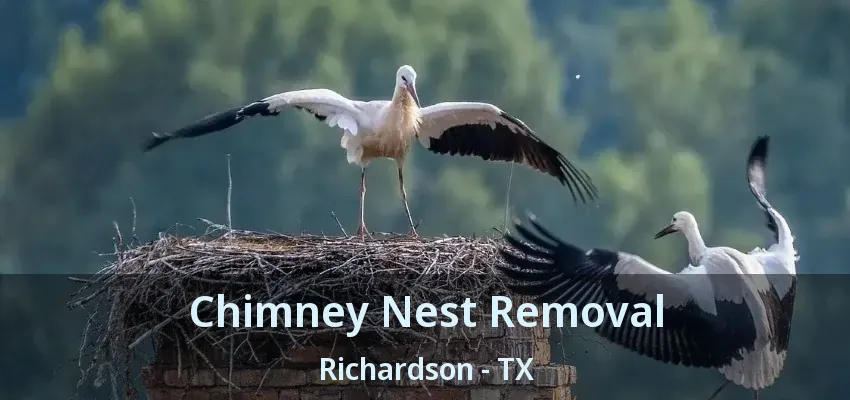 Chimney Nest Removal Richardson - TX