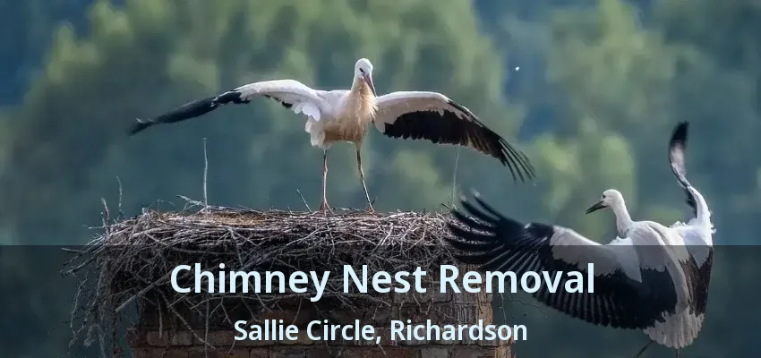 Chimney Nest Removal Sallie Circle, Richardson - TX