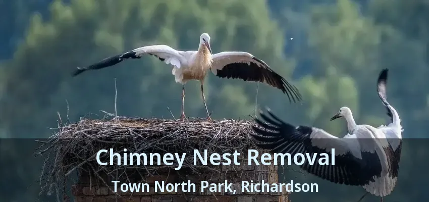Chimney Nest Removal Town North Park, Richardson - TX