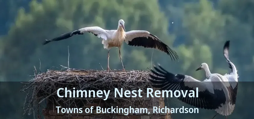 Chimney Nest Removal Towns of Buckingham, Richardson - TX