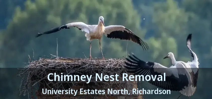 Chimney Nest Removal University Estates North, Richardson - TX