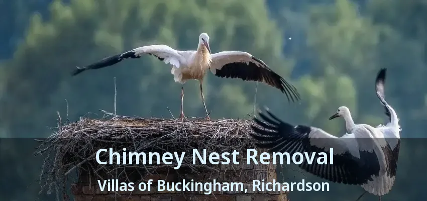 Chimney Nest Removal Villas of Buckingham, Richardson - TX