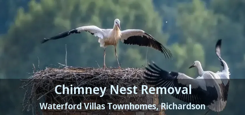 Chimney Nest Removal Waterford Villas Townhomes, Richardson - TX