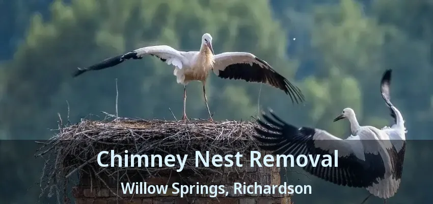 Chimney Nest Removal Willow Springs, Richardson - TX