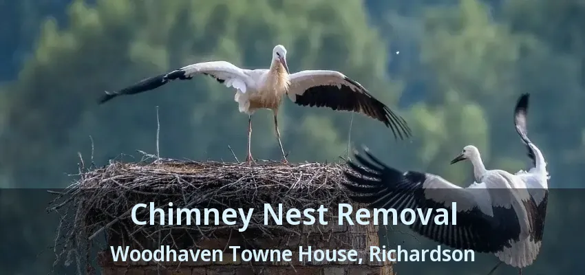 Chimney Nest Removal Woodhaven Towne House, Richardson - TX