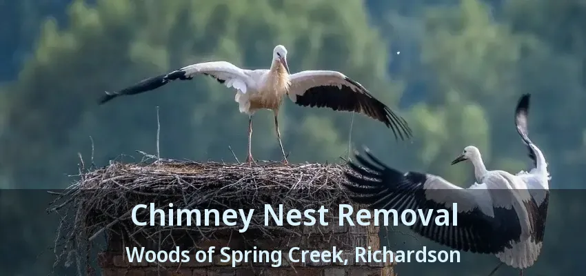 Chimney Nest Removal Woods of Spring Creek, Richardson - TX