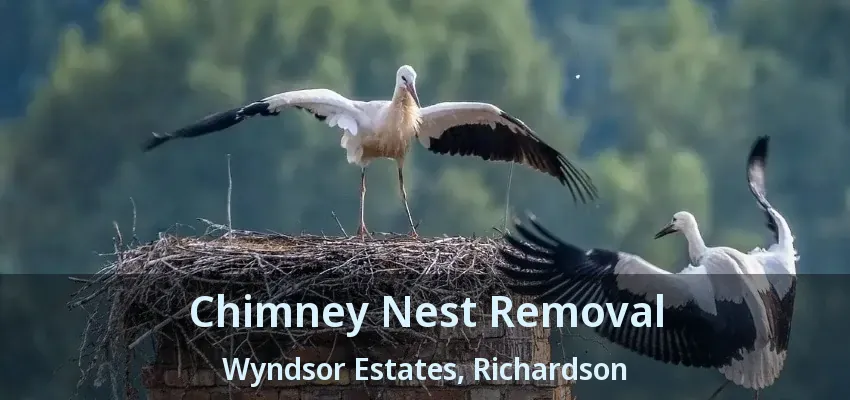 Chimney Nest Removal Wyndsor Estates, Richardson - TX