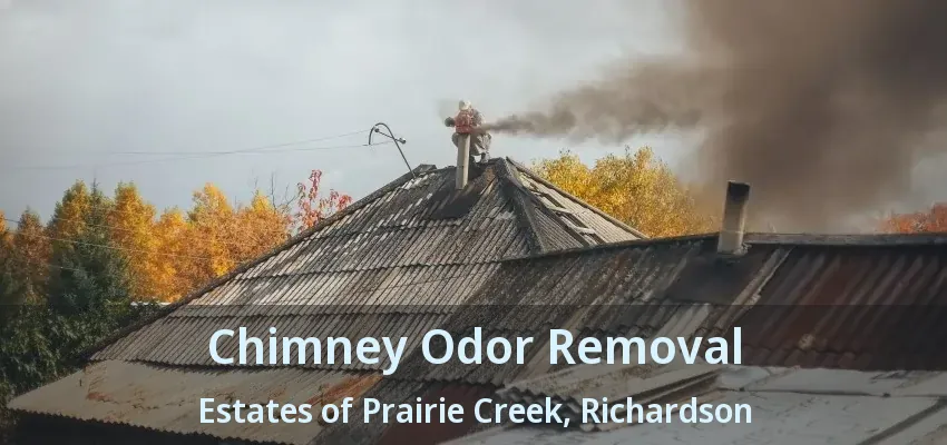 Chimney Odor Removal Estates of Prairie Creek, Richardson - TX