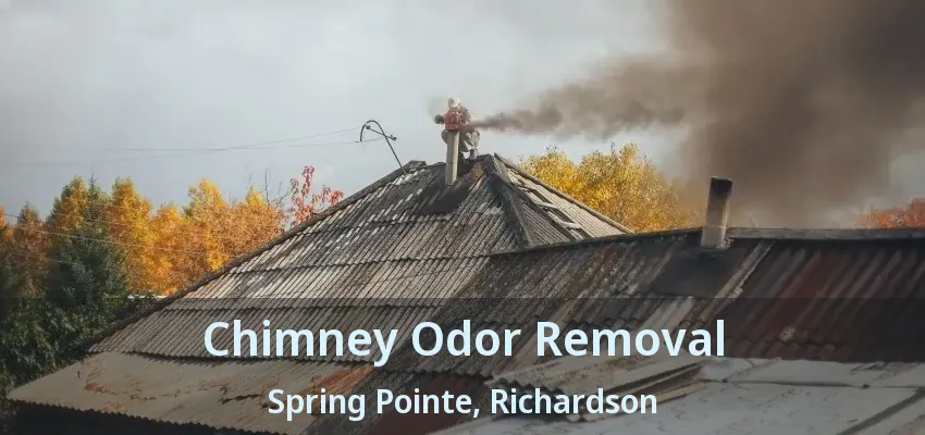 Chimney Odor Removal Spring Pointe, Richardson - TX