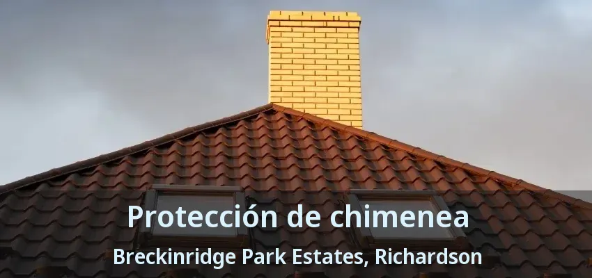 Protección de chimenea Breckinridge Park Estates, Richardson - TX