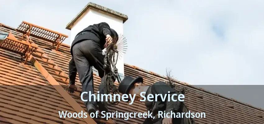 Chimney Service Woods of Springcreek, Richardson - TX