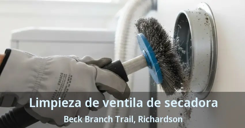 Limpieza de ventila de secadora Beck Branch Trail, Richardson - TX